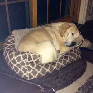 Meet your Posher, Seth